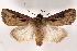  ( - 2011GM-0208)  @14 [ ] Copyright (2011) Gary McDonald Unspecified
