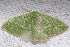  ( - 2011GM-0212)  @12 [ ] Copyright (2011) Gary McDonald Unspecified
