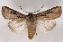  ( - 2011GM-0221)  @14 [ ] Copyright (2011) Gary McDonald Unspecified