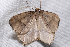  ( - 2011GM-0225)  @12 [ ] Copyright (2011) Gary McDonald Unspecified