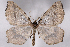  ( - 2011GM-0225)  @14 [ ] Copyright (2011) Gary McDonald Unspecified