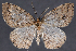  ( - 2011GM-0231)  @14 [ ] Copyright (2011) Gary McDonald Unspecified