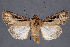  ( - 2011GM-0234)  @14 [ ] Copyright (2011) Gary McDonald Unspecified