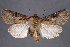  ( - 2011GM-0236)  @14 [ ] Copyright (2011) Gary McDonald Unspecified