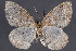  ( - 2011GM-0248)  @13 [ ] Copyright (2011) Gary McDonald Unspecified