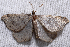  ( - 2011GM-0249)  @13 [ ] Copyright (2011) Gary McDonald Unspecified
