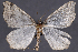  ( - 2011GM-0249)  @13 [ ] Copyright (2011) Gary McDonald Unspecified