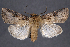  ( - 2011GM-0251)  @14 [ ] Copyright (2011) Gary McDonald Unspecified