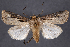  ( - 2011GM-0252)  @14 [ ] Copyright (2011) Gary McDonald Unspecified