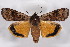  ( - 2011GM-0315)  @14 [ ] Copyright (2011) Gary McDonald Unspecified