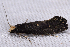  ( - 2011GM-0328)  @12 [ ] Copyright (2011) Gary McDonald Unspecified