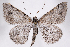  ( - 2011GM-0350)  @14 [ ] Copyright (2011) Gary McDonald Unspecified