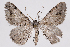  ( - 2011GM-0373)  @14 [ ] Copyright (2011) Gary McDonald Unspecified