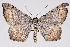  ( - 2011GM-0374)  @14 [ ] Copyright (2011) Gary McDonald Unspecified