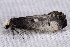  ( - 2011GM-0376)  @13 [ ] Copyright (2011) Gary McDonald Unspecified