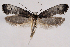  ( - 2011GM-0376)  @14 [ ] Copyright (2011) Gary McDonald Unspecified