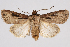  ( - 2011GM-0384)  @14 [ ] Copyright (2011) Gary McDonald Unspecified