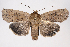  ( - 2011GM-0404)  @13 [ ] Copyright (2011) Gary McDonald Unspecified