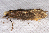  ( - 2011GM-0407)  @12 [ ] Copyright (2011) Gary McDonald Unspecified