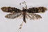  ( - 2011GM-0407)  @13 [ ] Copyright (2011) Gary McDonald Unspecified