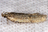  ( - 2011GM-0408)  @12 [ ] Copyright (2011) Gary McDonald Unspecified