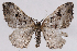  ( - 2011GM-0418)  @14 [ ] Copyright (2011) Gary McDonald Unspecified