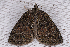  ( - 2011GM-0422)  @12 [ ] Copyright (2011) Gary McDonald Unspecified