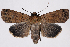  ( - 2011GM-0424)  @13 [ ] Copyright (2011) Gary McDonald Unspecified