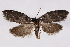  ( - 2011GM-0449)  @13 [ ] Copyright (2011) Gary McDonald Unspecified