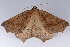  ( - 2011GM-0461)  @13 [ ] Copyright (2011) Gary McDonald Unspecified