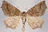  ( - 2011GM-0461)  @15 [ ] Copyright (2011) Gary McDonald Unspecified