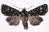  ( - 2011GM-0465)  @14 [ ] Copyright (2011) Gary McDonald Unspecified