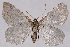  ( - 2011GM-0475)  @14 [ ] Copyright (2011) Gary McDonald Unspecified