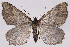 ( - 2011GM-0476)  @14 [ ] Copyright (2011) Gary McDonald Unspecified