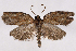  ( - 2011GM-0477)  @13 [ ] Copyright (2011) Gary McDonald Unspecified