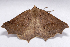  ( - 2011GM-0488)  @13 [ ] Copyright (2011) Gary McDonald Unspecified