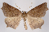  ( - 2011GM-0488)  @15 [ ] Copyright (2011) Gary McDonald Unspecified