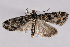  ( - 2011GM-0490)  @14 [ ] Copyright (2011) Gary McDonald Unspecified
