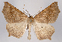  ( - 2011GM-0496)  @14 [ ] Copyright (2011) Gary McDonald Unspecified