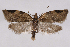 ( - 2011GM-0507)  @14 [ ] Copyright (2011) Gary McDonald Unspecified