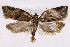  ( - 2011GM-0509)  @14 [ ] Copyright (2011) Gary McDonald Unspecified
