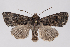  ( - 2011GM-0514)  @14 [ ] Copyright (2011) Gary McDonald Unspecified