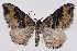  ( - 2011GM-0515)  @14 [ ] Copyright (2011) Gary McDonald Unspecified