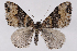  ( - 2011GM-0517)  @14 [ ] Copyright (2011) Gary McDonald Unspecified