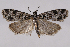  ( - 2011GM-0534)  @11 [ ] Copyright (2011) Gary McDonald Unspecified