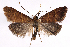  (Arta - 2011GM-0540)  @15 [ ] Copyright (2011) Gary McDonald Unspecified