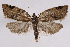  ( - 2011GM-0544)  @14 [ ] Copyright (2011) Gary McDonald Unspecified