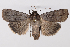  ( - 2011GM-0569)  @13 [ ] Copyright (2011) Gary McDonald Unspecified
