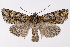  ( - 2011GM-0573)  @14 [ ] Copyright (2011) Gary McDonald Unspecified