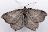  ( - 2011GM-0574)  @14 [ ] Copyright (2011) Gary McDonald Unspecified